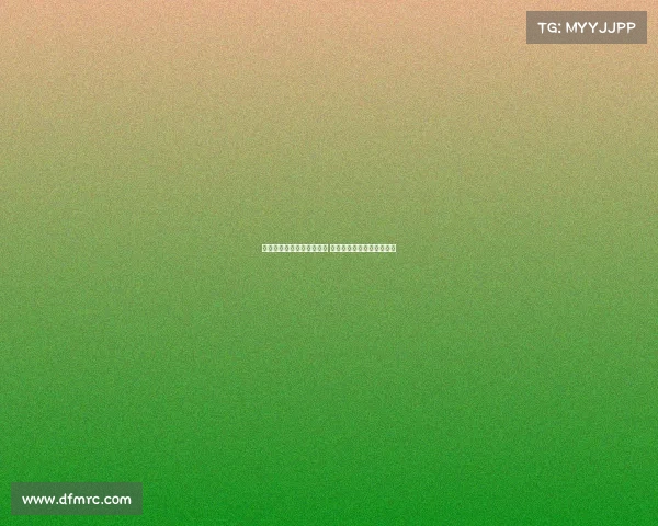 深度解析山东泰山外援表现 揭示梅雷加真实实力与潜力